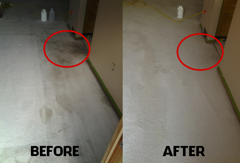 Photo of Carpet Cleaning