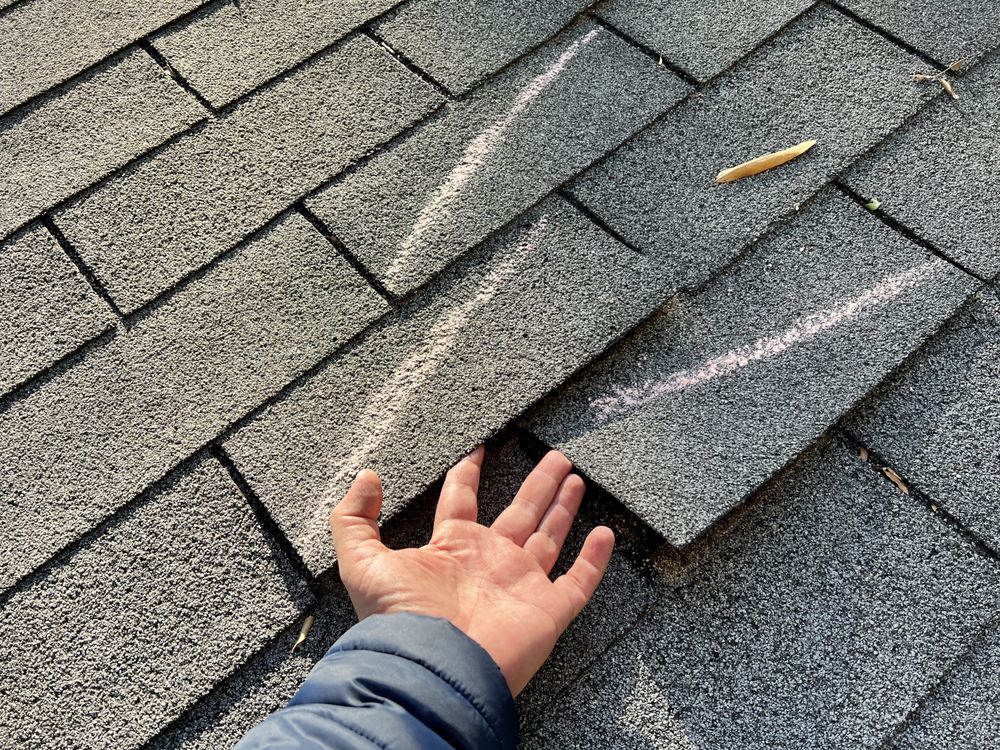 Photo of Hard Roof