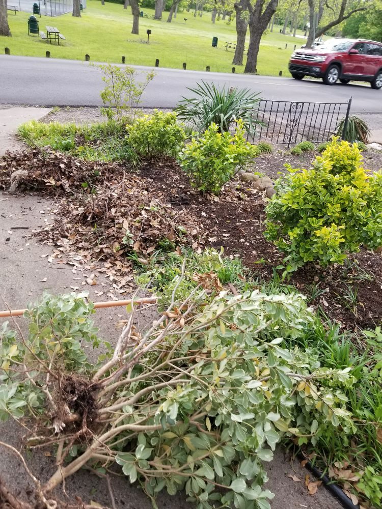 Photo of R's & J Lawncare