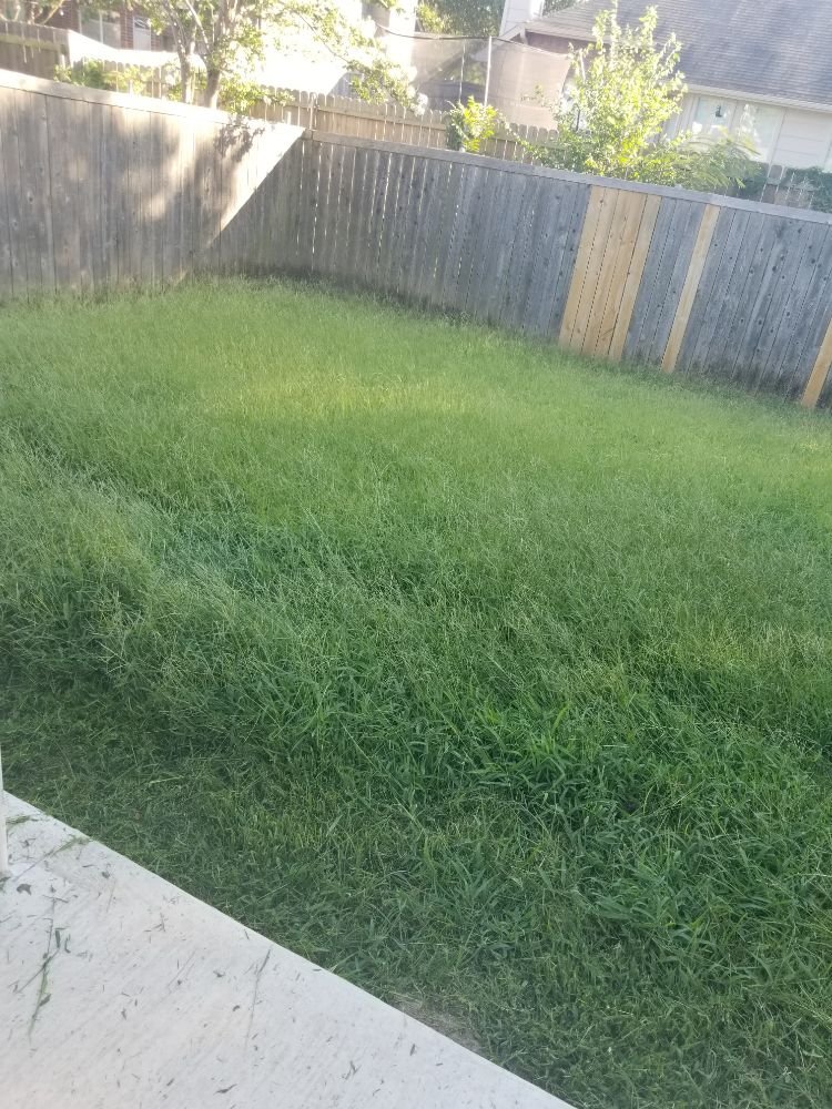 Photo of R's & J Lawncare