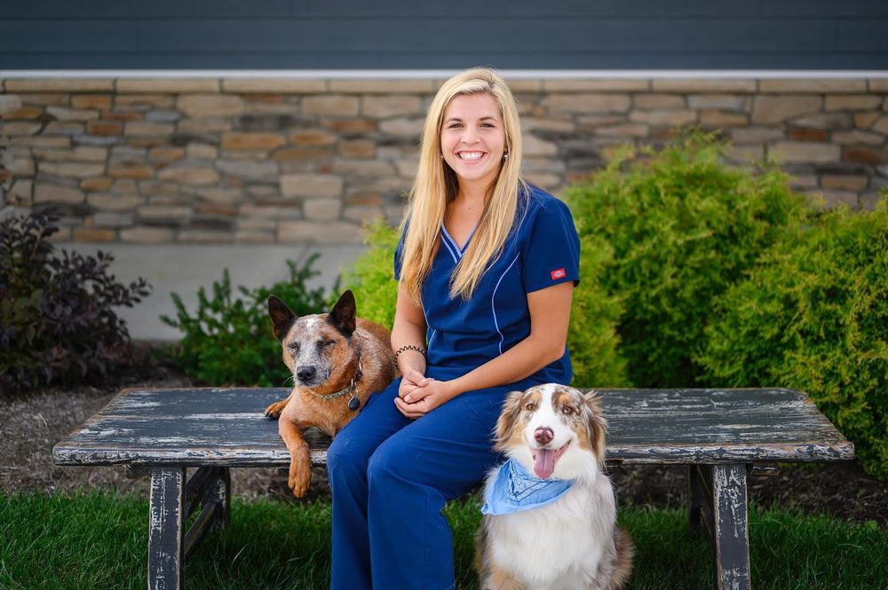 Photo of Muse Marketing & Design