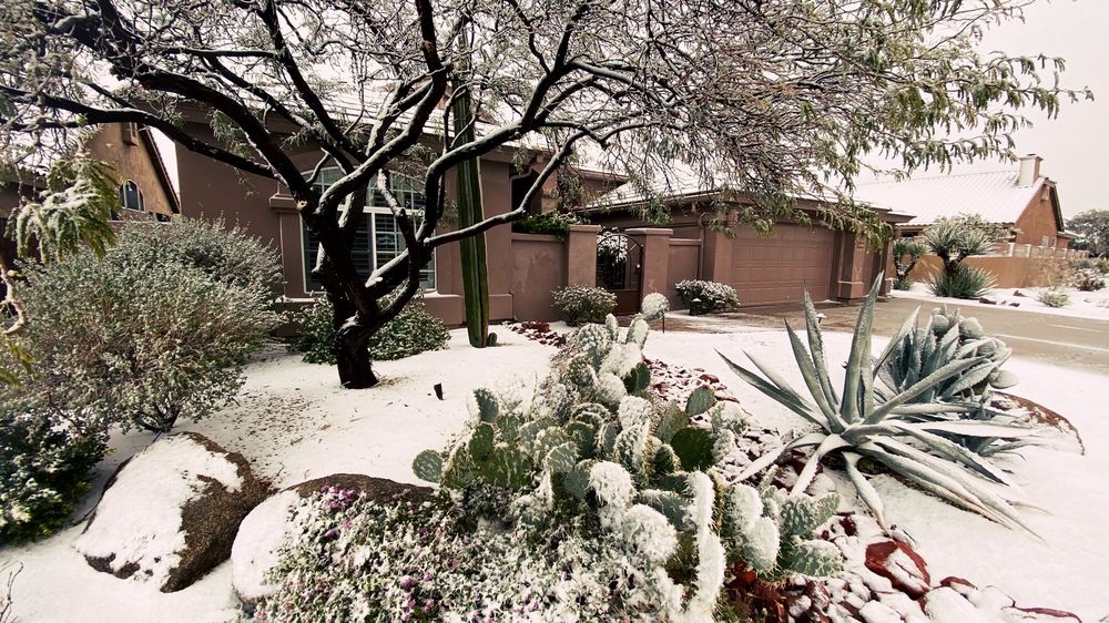 Photo of Clementi Real Estate At My Home Group