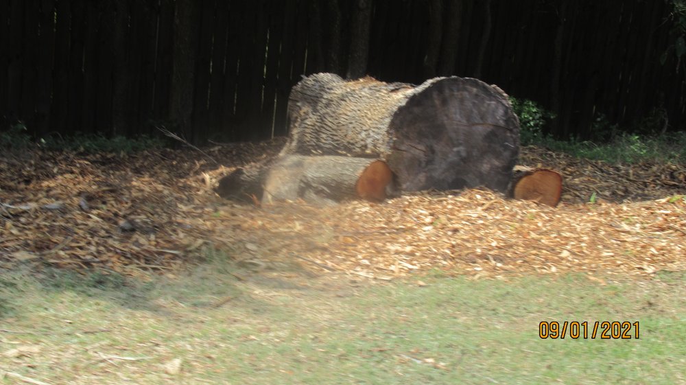 Photo of Plantscape Solutions