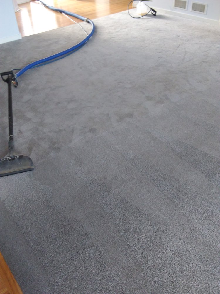 Photo of My Trusted Carpet Cleaners