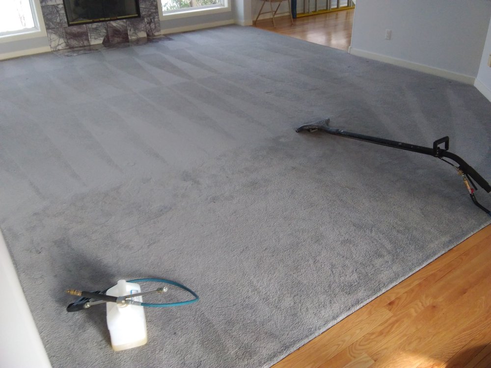 Photo of My Trusted Carpet Cleaners