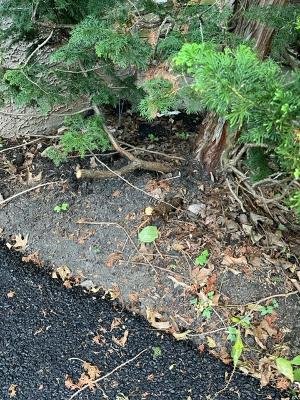 Photo of Charlestown Paving & Excavating