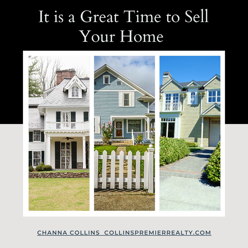 Photo of Channa Collins - Luxury Real Estate