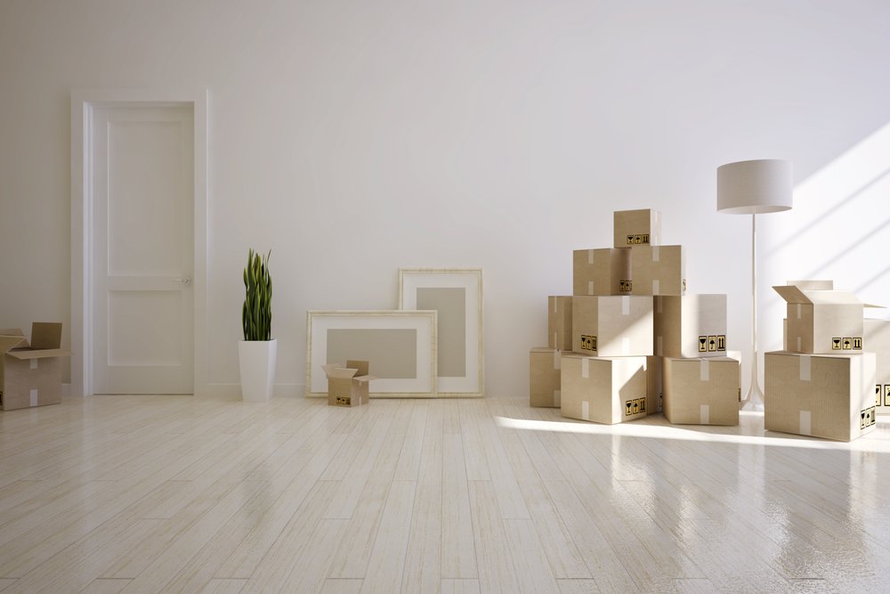 Photo of I Move You