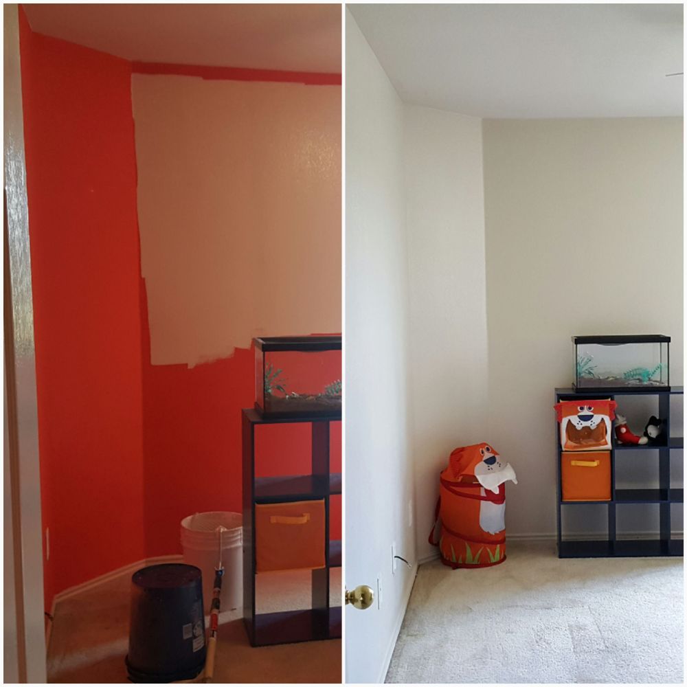 Photo of One Paint Solution
