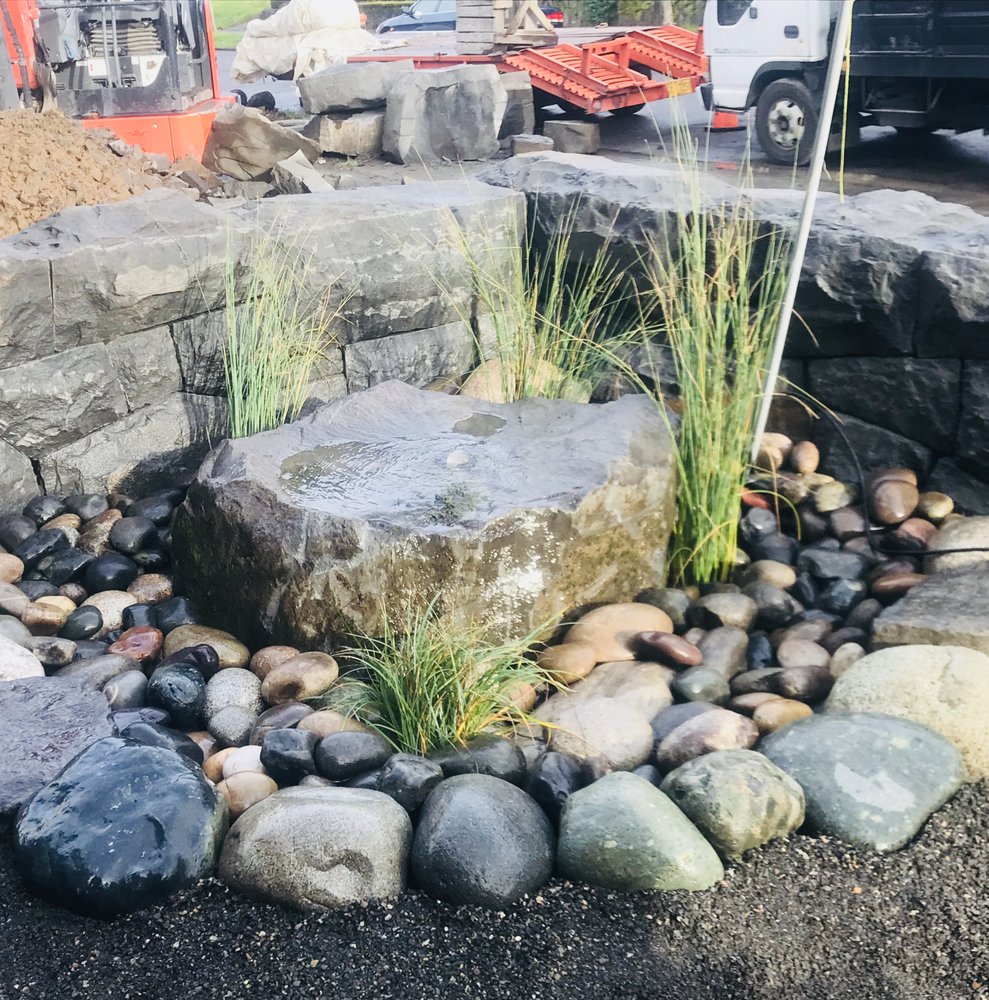 Photo of Stone Water Tree