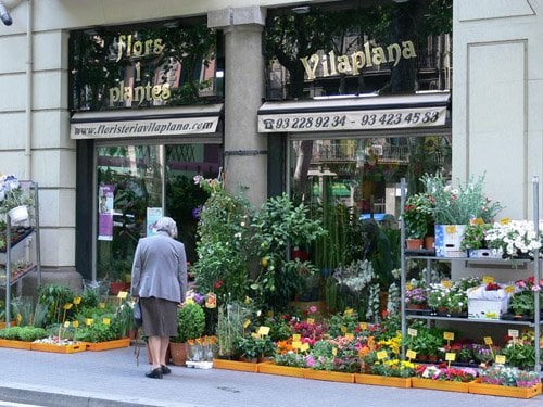 Photo of Flores Vilaplana