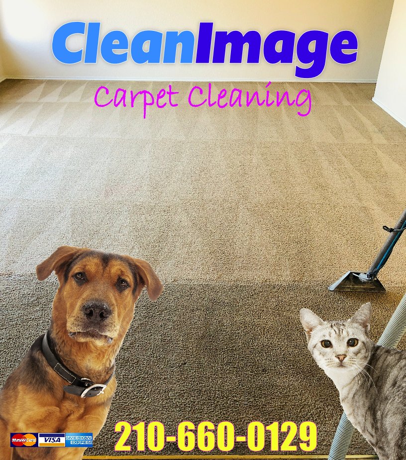 Photo of Clean Image Carpet Cleaning