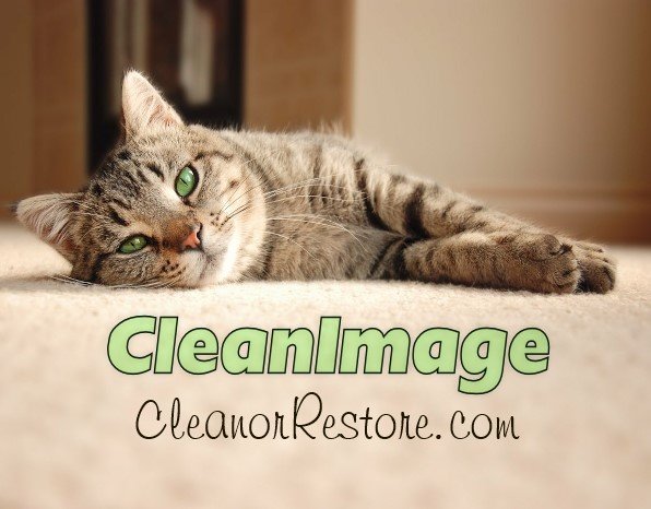 Photo of Clean Image Carpet Cleaning