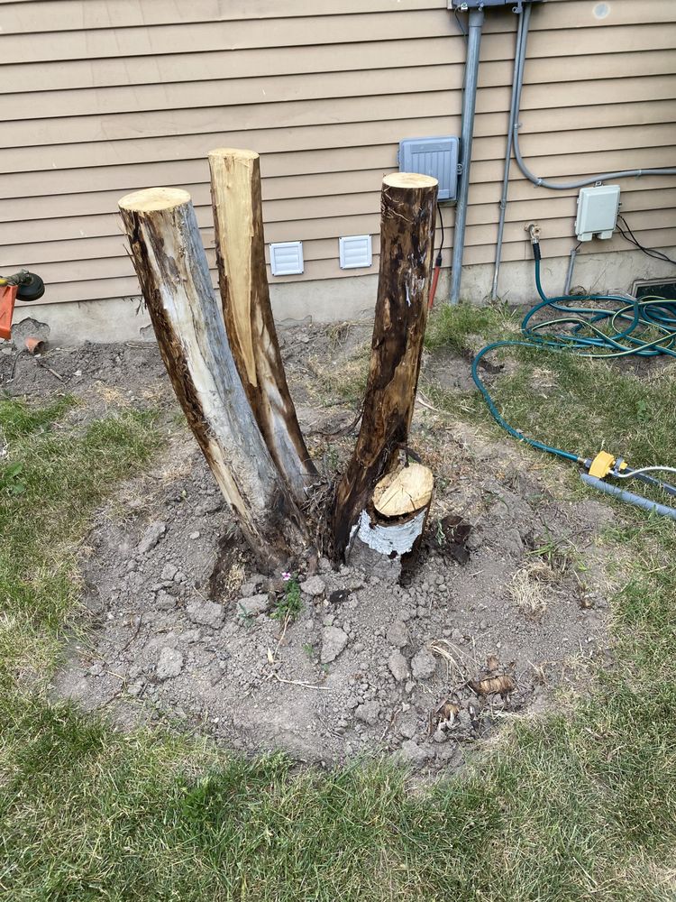 Photo of Kaysville Landscaping