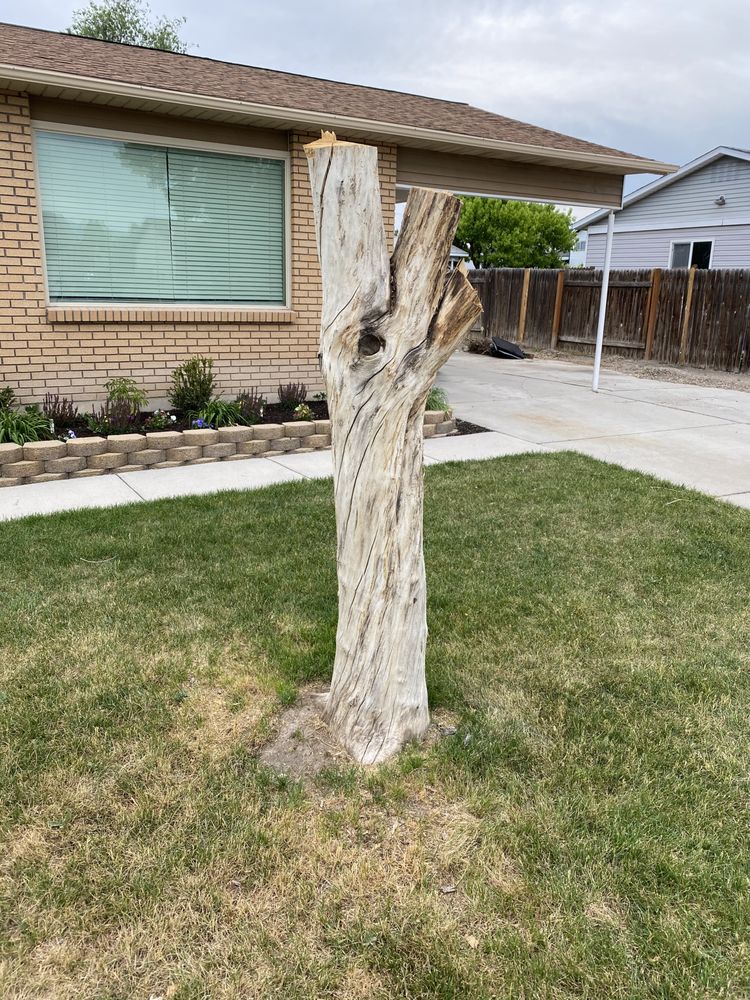Photo of Kaysville Landscaping