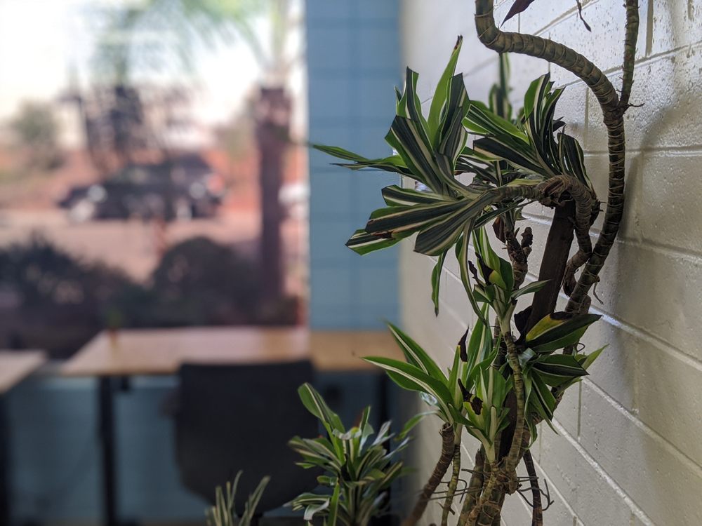 Photo of Co Work At Tower 7