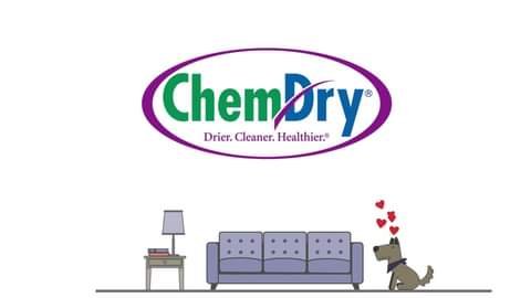 Photo of Hibbs Chem-Dry