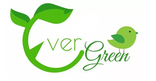 Photo of Ever Green Clean