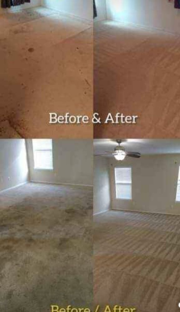 Photo of Busy bee cleaning service