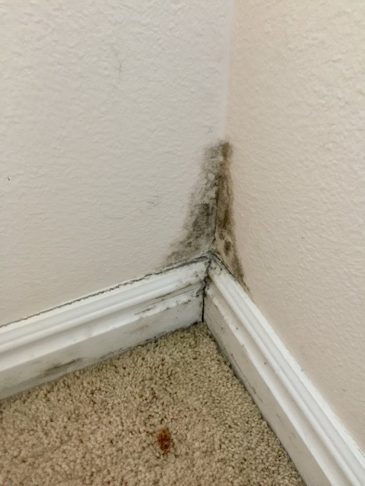Photo of Pure Maintenance of California