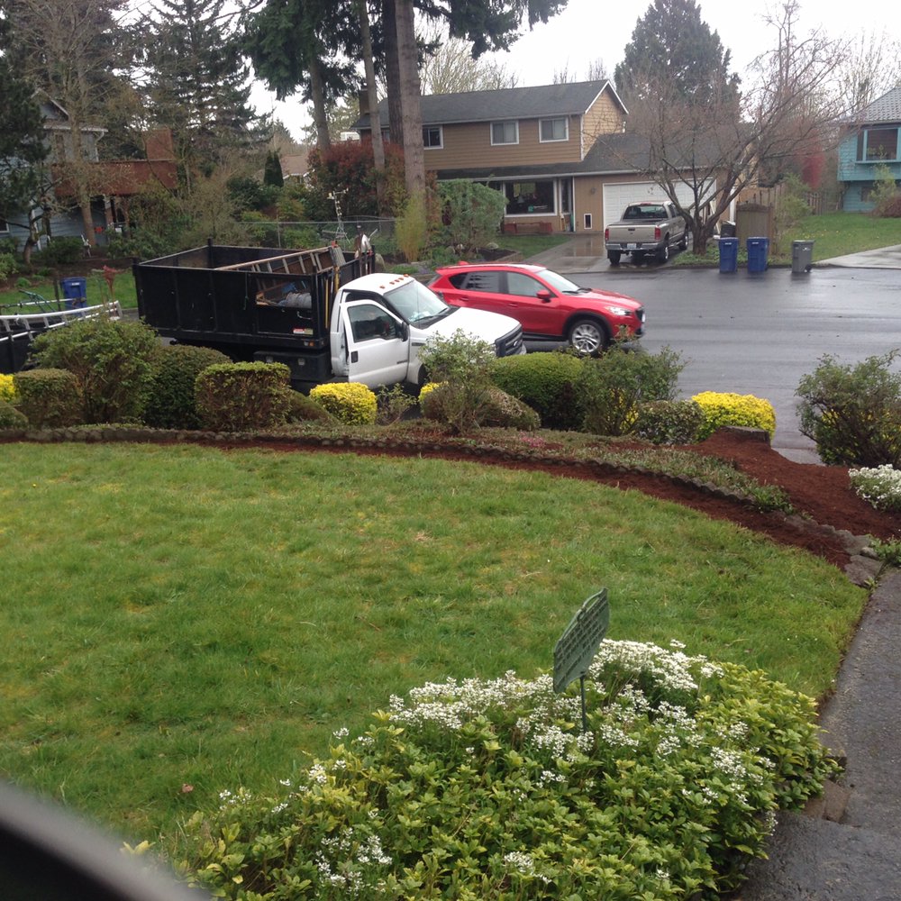 Photo of LN's Gardening Service