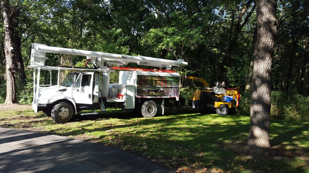 Photo of Ace Tree Service