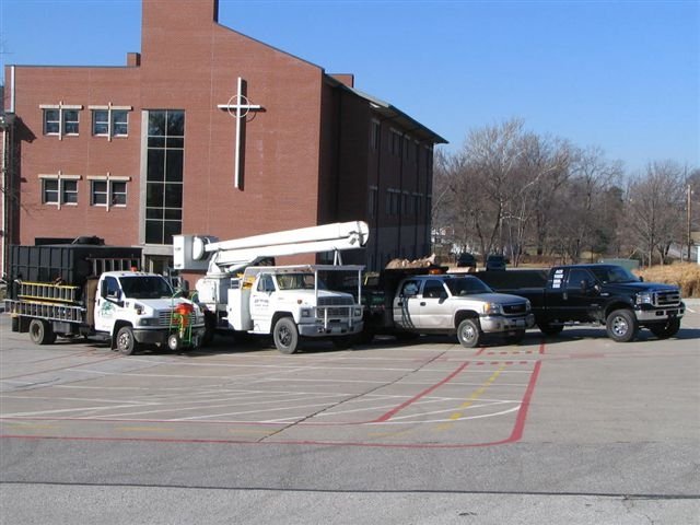 Photo of Ace Tree Service