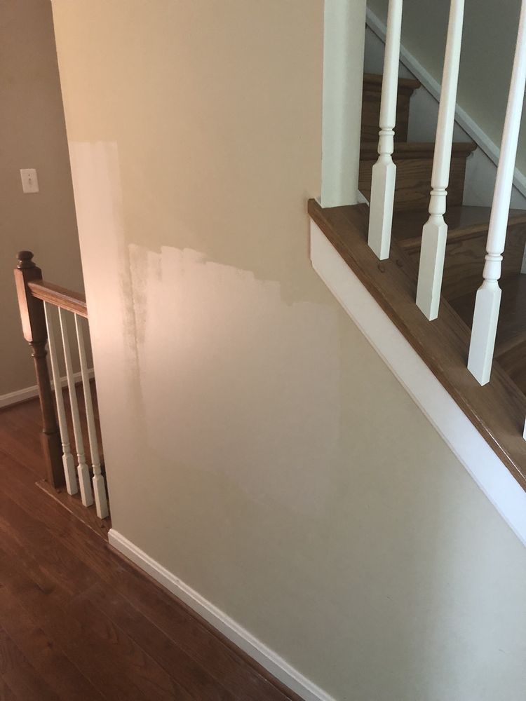 Photo of The Home Whisperer