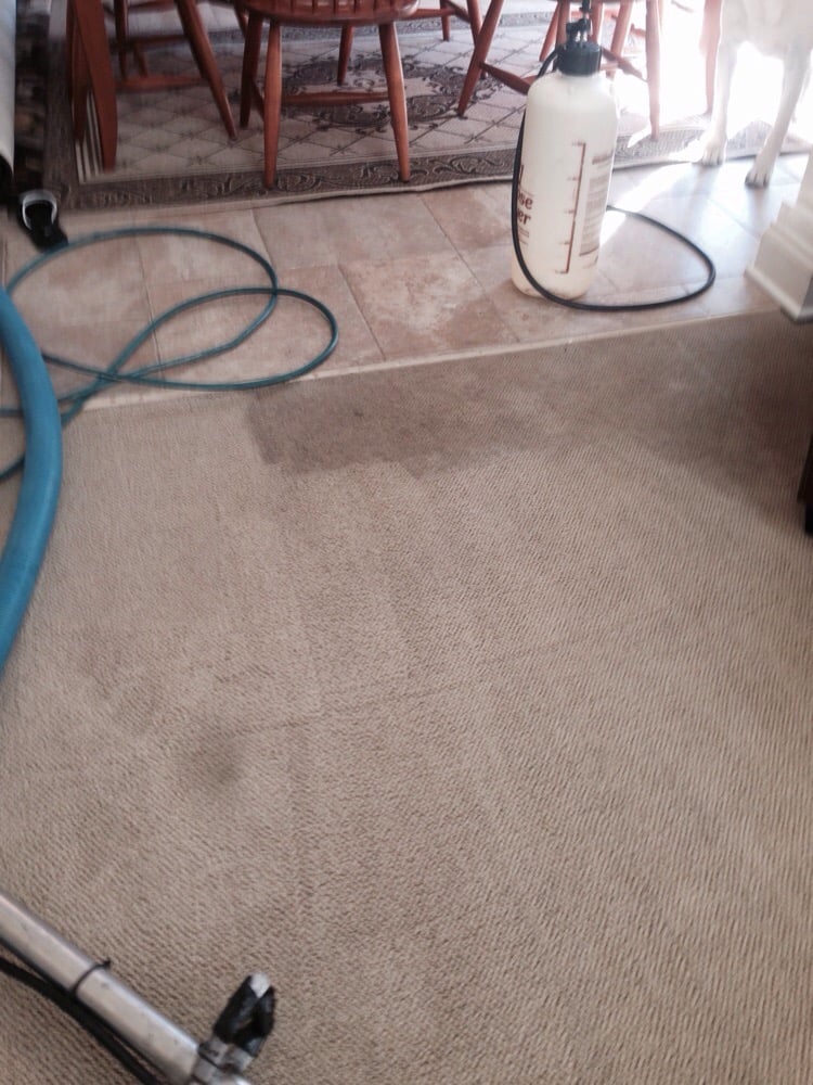 Photo of Buzby Carpet & Upholstery Cleaning