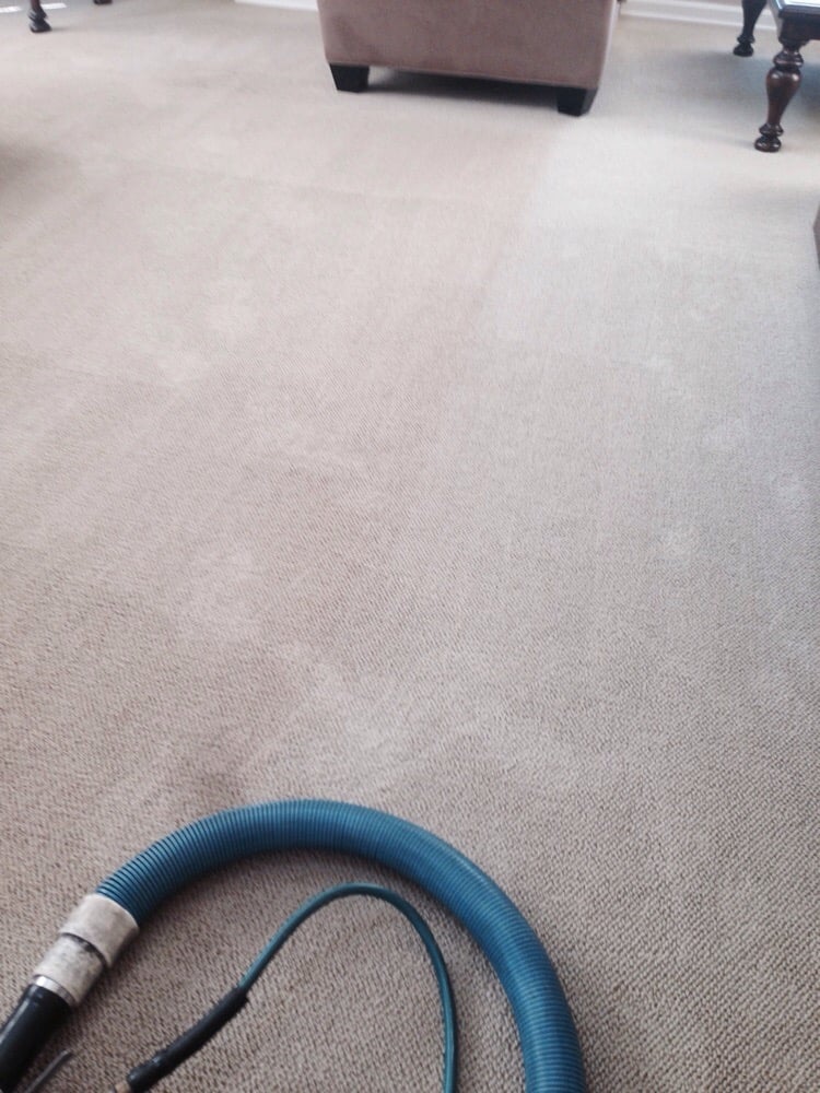 Photo of Buzby Carpet & Upholstery Cleaning