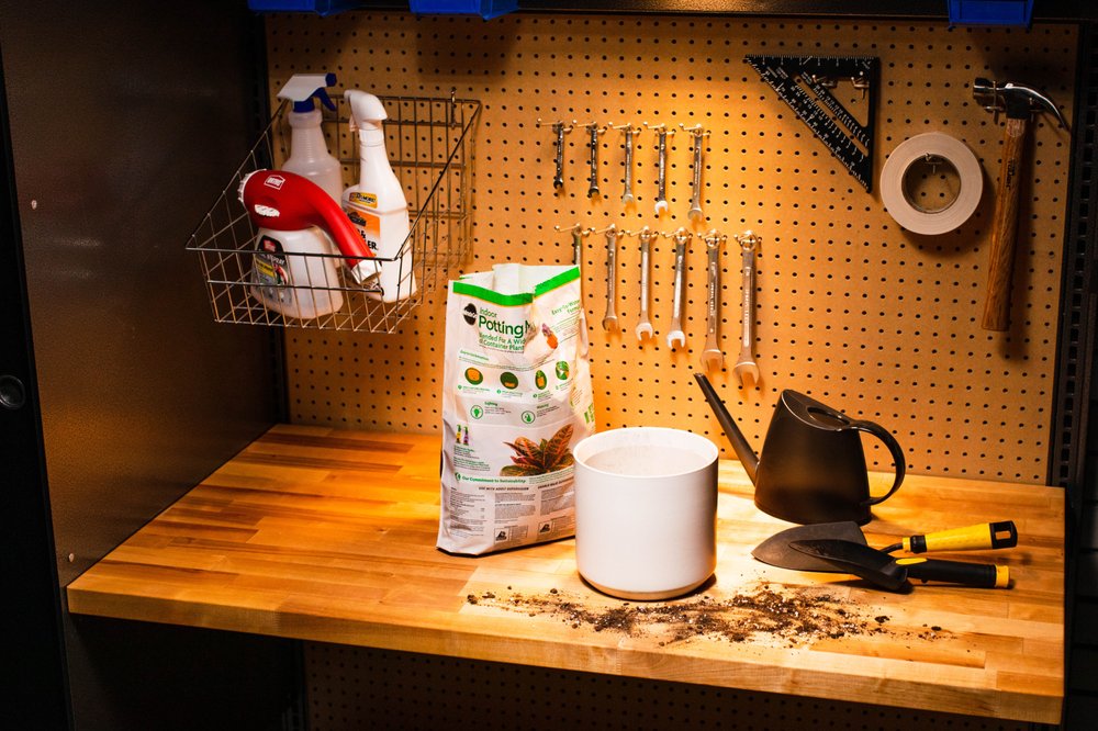 Photo of Hello Garage of Seattle
