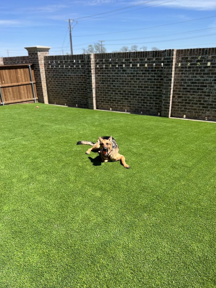 Photo of North Texas Luxury Lawns & Greens