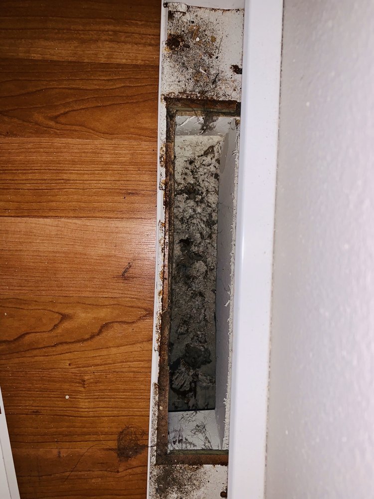Photo of Specialized Cleaning Services