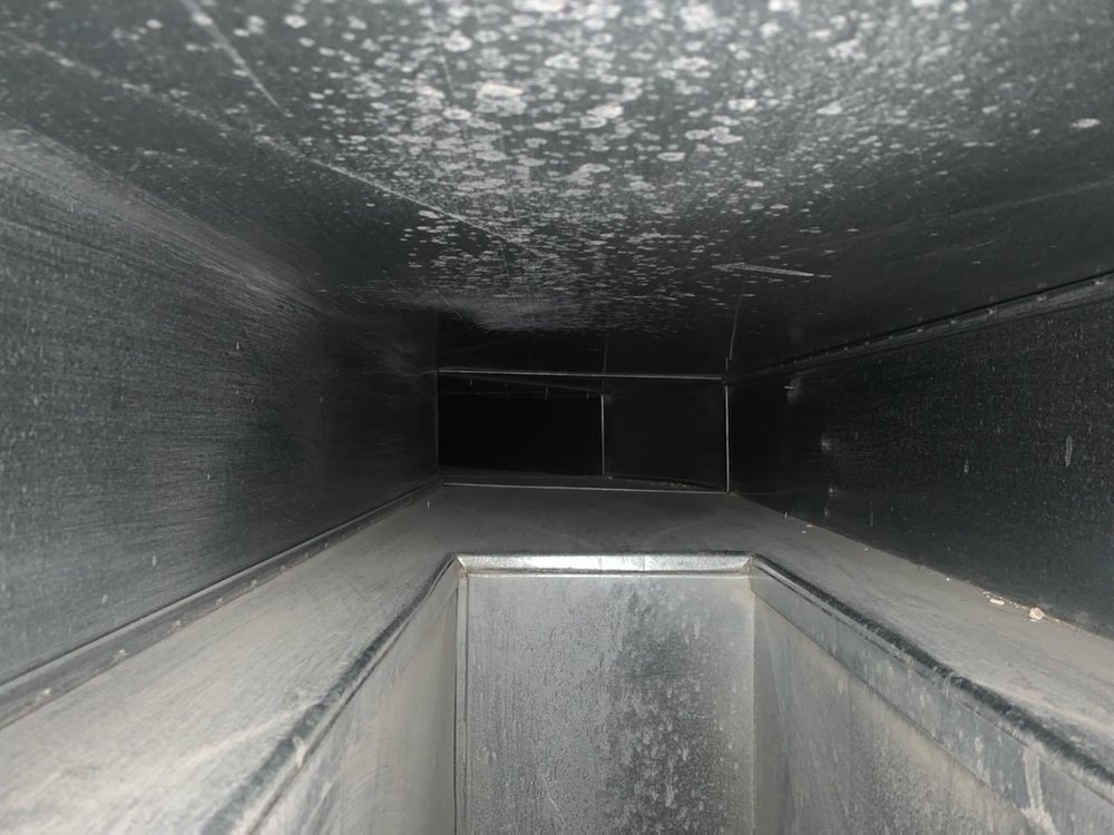 Photo of Specialized Cleaning Services