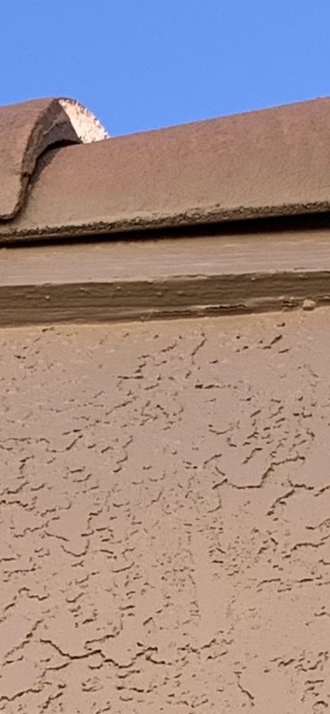 Photo of Sun City Painting