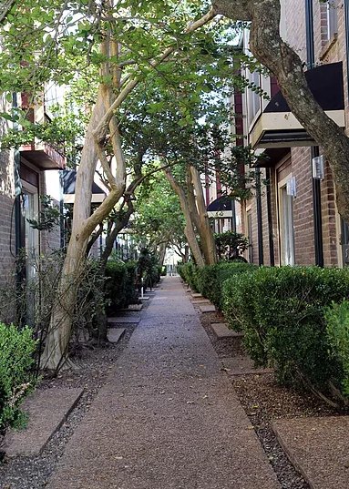 Photo of Forest Oaks Apt