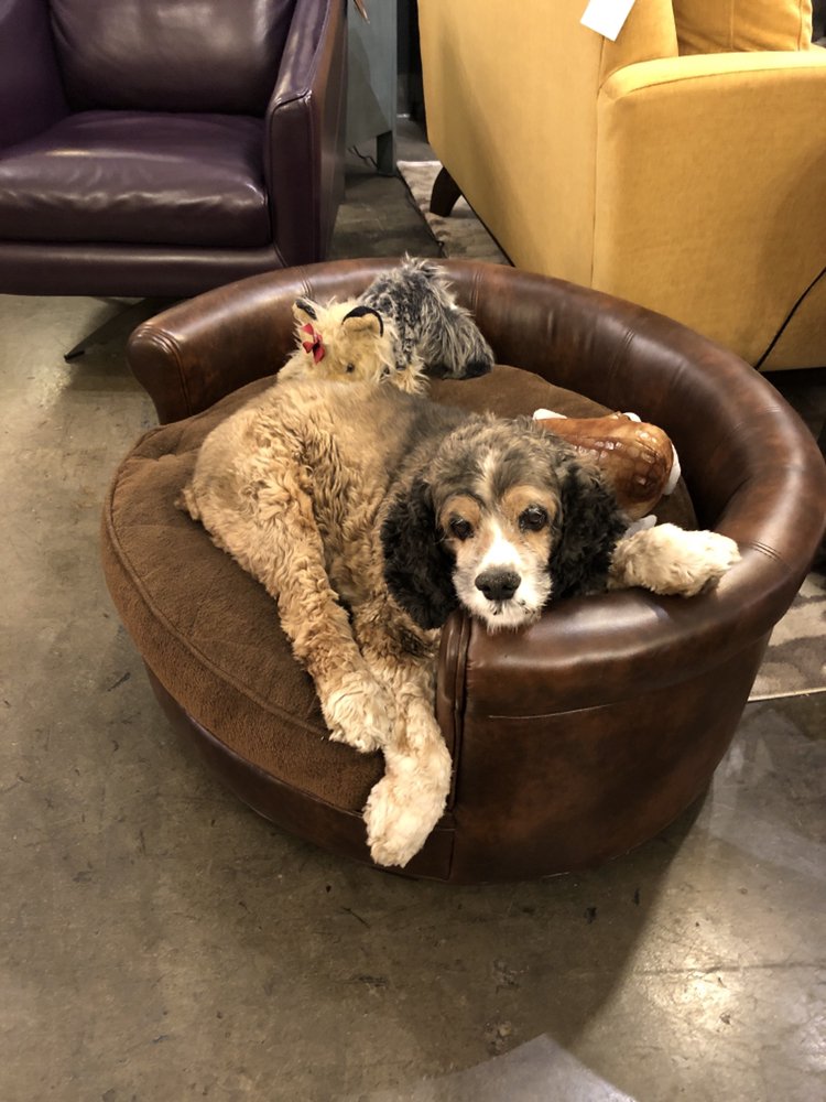 Photo of There's No Place Like Home Furniture