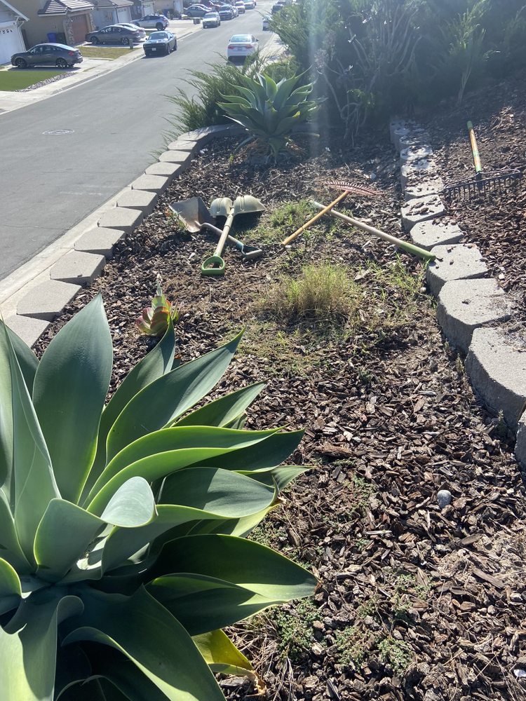 Photo of Landscape gardener service