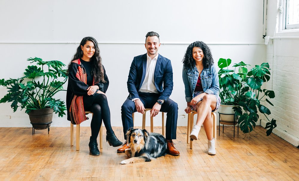 Photo of The Gorilla Agency