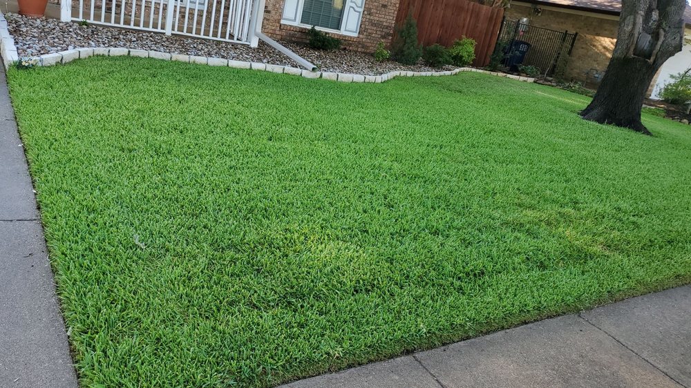 Photo of Green Top Lawn Care