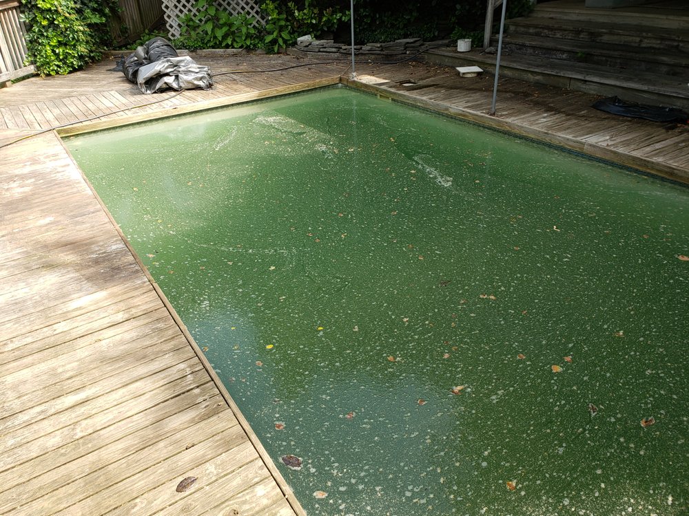 Photo of Pool World
