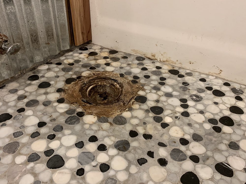 Photo of DAZ Plumbing and Locating