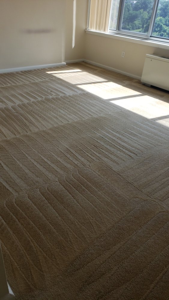 Photo of Beto's Carpet Cleaning