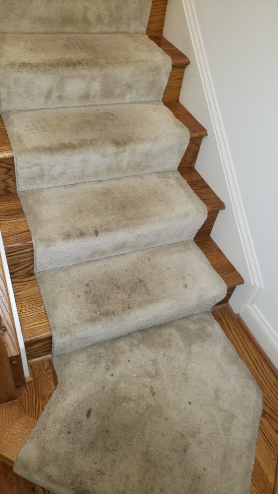 Photo of Beto's Carpet Cleaning