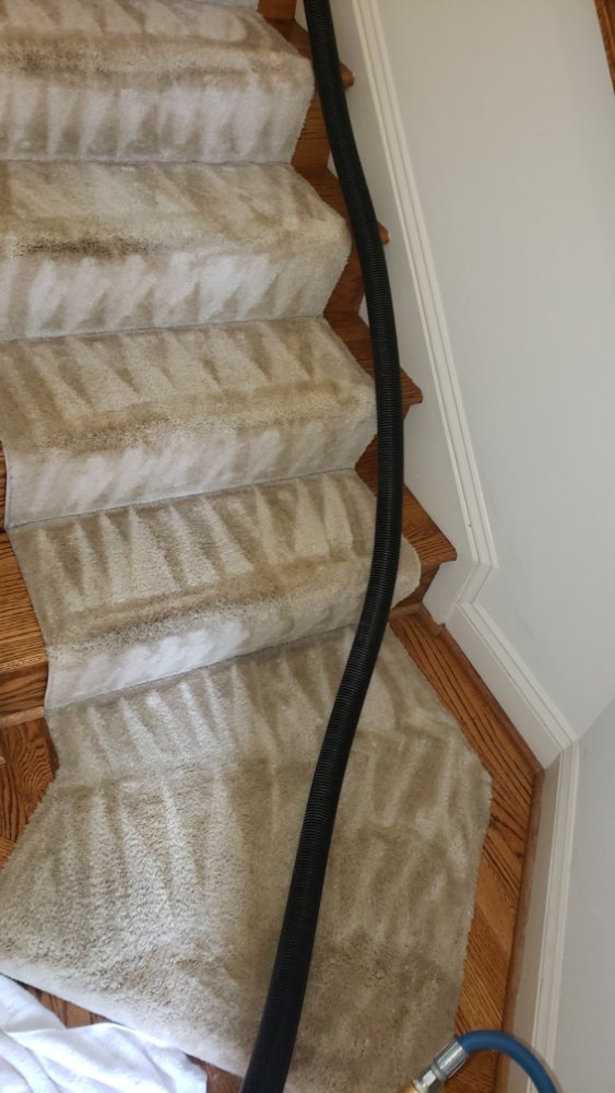 Photo of Beto's Carpet Cleaning