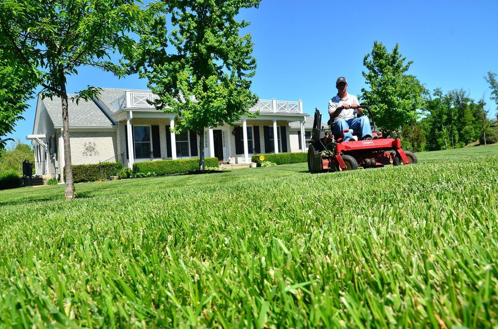 Photo of Neighborly Lawn Care