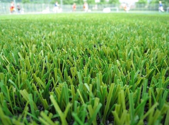 Photo of Midwest Turf