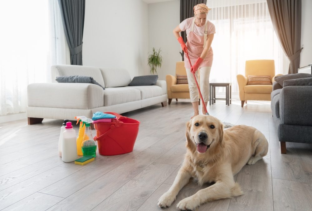 Photo of Amy's Deep Cleaning & More