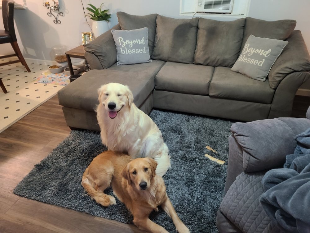 Photo of Amy's Deep Cleaning & More