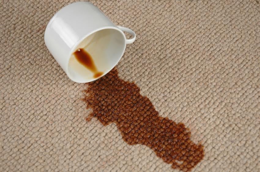 Photo of Good Guys Professional Carpet Cleaning